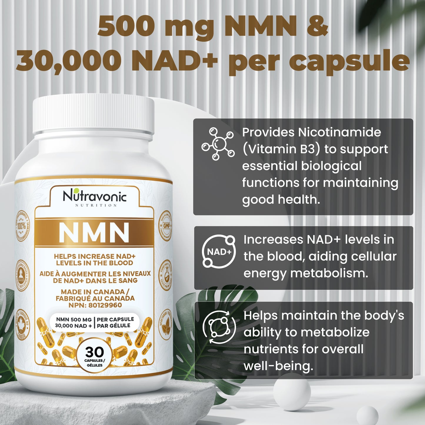 NMN 30 Capsule