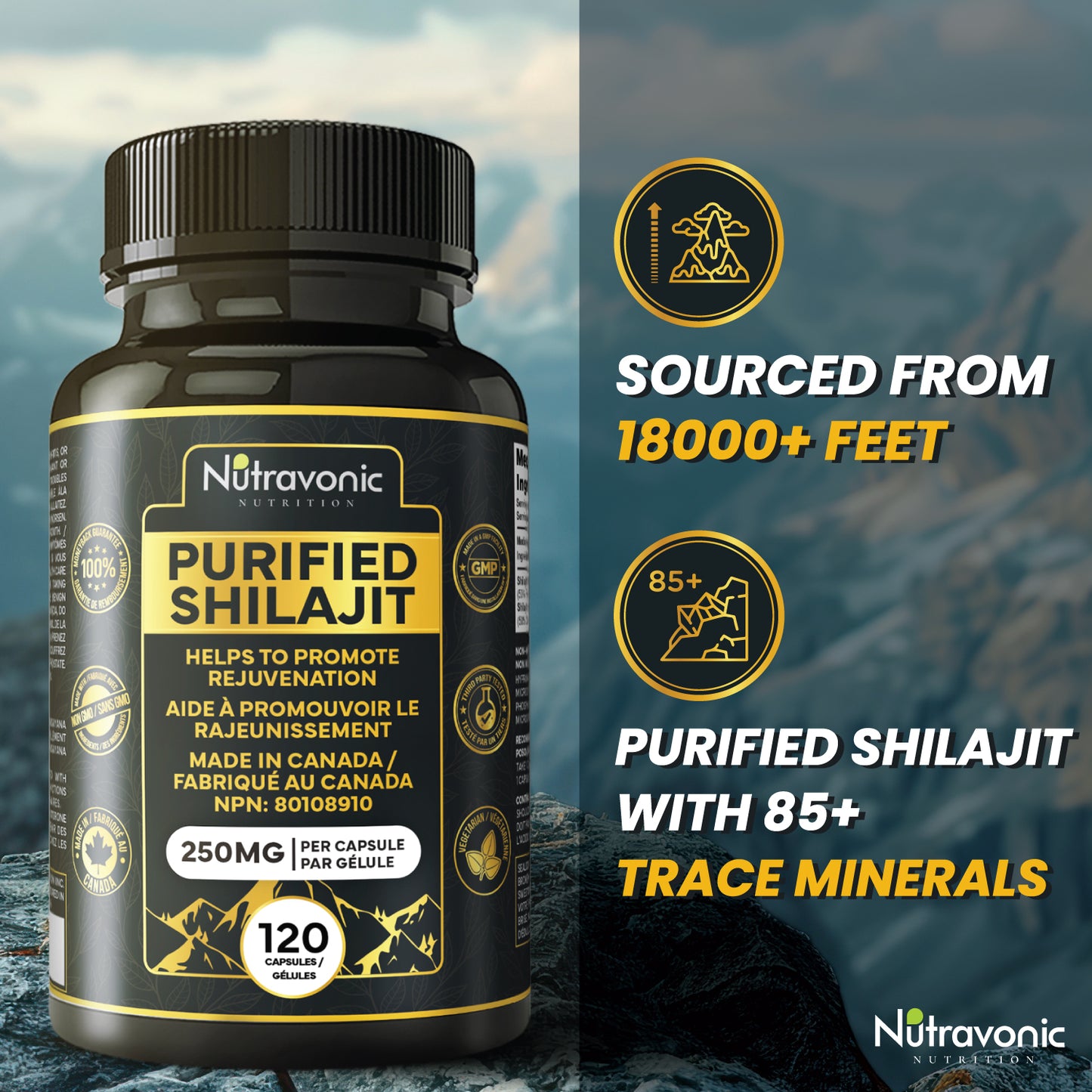 Purified Shilajit