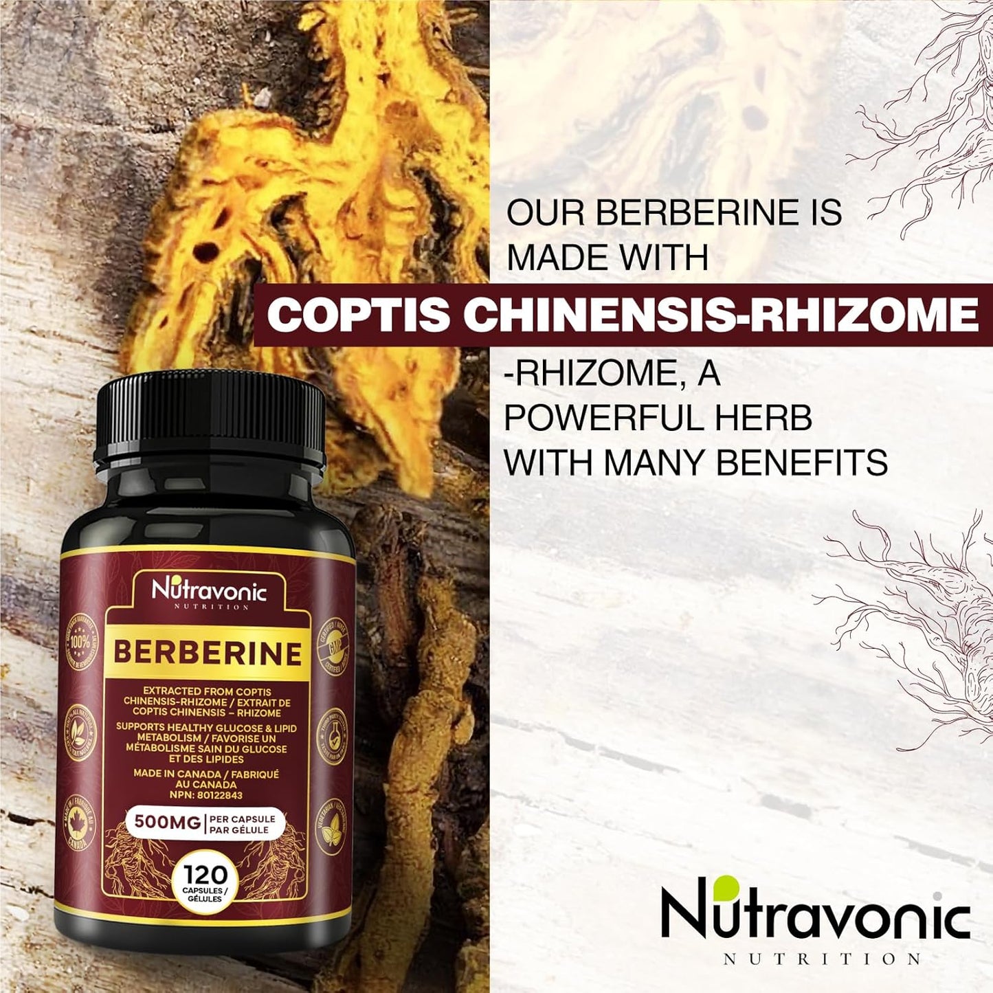 Berberine