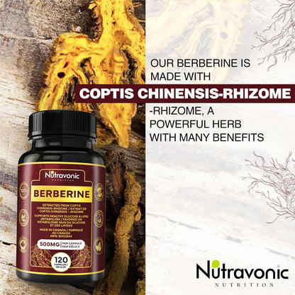 Berberine