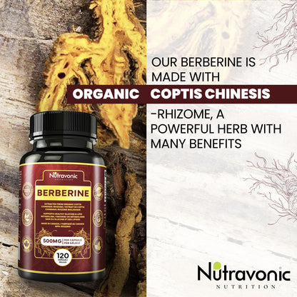 Berberine