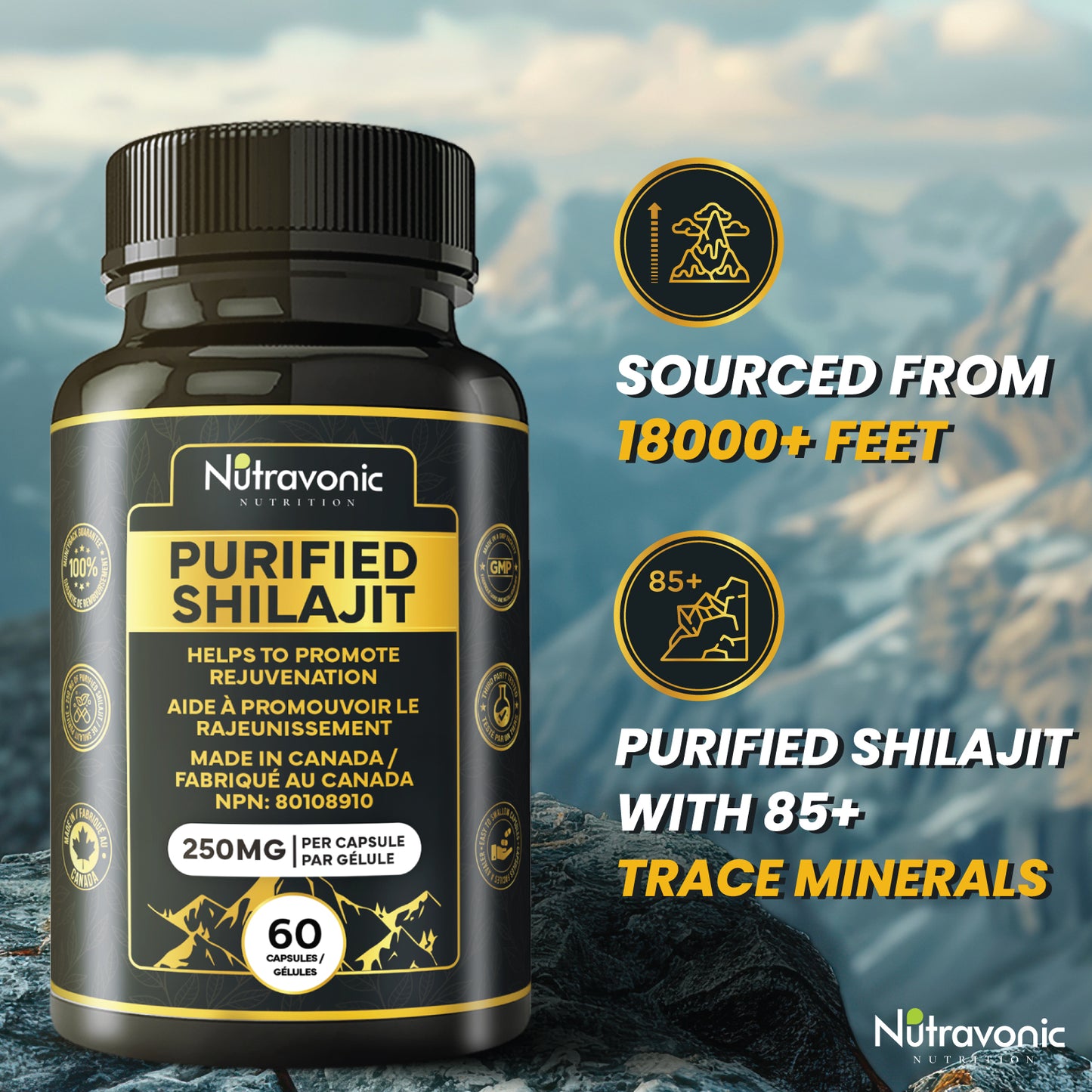 Purified Shilajit 60 Capsules