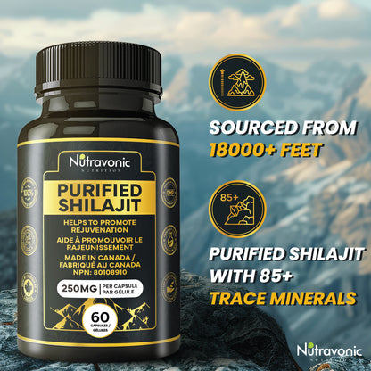 Purified Shilajit 60 Capsules