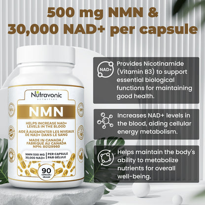 NMN (90 Caps)