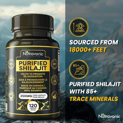 Purified Shilajit