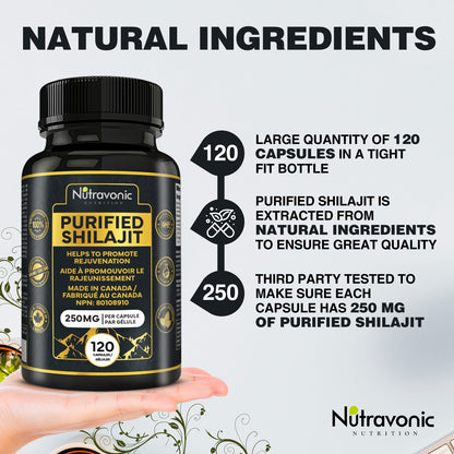 Purified Shilajit